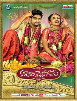 فيلم فيلم Kalyana Vaibhogame مترجم 2016