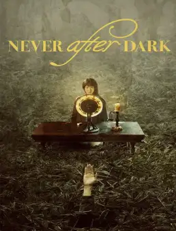 بوستر فيلم Never After Dark 2026 مترجم