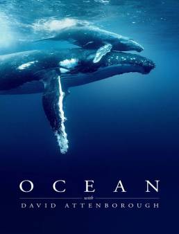 فيلم فيلم Ocean with David Attenborough 2025 مترجم 2025