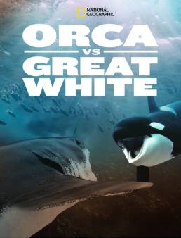 فيلم فيلم Orca Vs Great White 2021 مترجم 2021