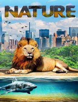 فيلم فيلم Our Nature 2019 مترجم 2018