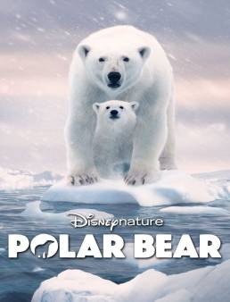 فيلم فيلم Polar Bear 2022 مترجم 2022