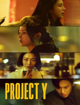 فيلم فيلم Project Y 2026 مترجم 2026
