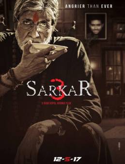 فيلم فيلم Sarkar 3 مترجم 2017