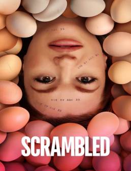 فيلم فيلم Scrambled 2024 مترجم 2024