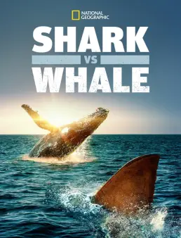 فيلم فيلم Shark vs. Whale 2020 مترجم 2020