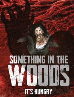 فيلم فيلم Something in the Woods 2021 مترجم 2021