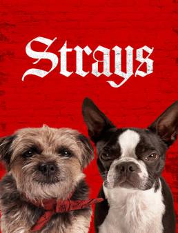فيلم فيلم Strays 2023 مترجم 2023