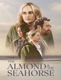 فيلم فيلم The Almond and the Seahorse 2022 مترجم 2022