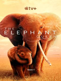 فيلم The Elephant Queen 2018 مترجم