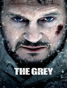 فيلم فيلم The Grey 2011 مترجم 2011