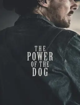 فيلم فيلم The Power of the Dog 2021 مترجم 2021