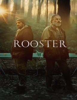 فيلم فيلم The Rooster 2024 مترجم 2024