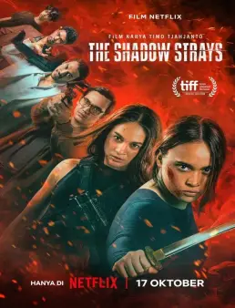 فيلم فيلم The Shadow Strays 2024 مترجم 2024