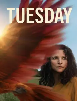 فيلم فيلم Tuesday 2023 مترجم 2023