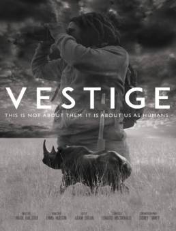 فيلم فيلم Vestige 2019 مترجم 2019