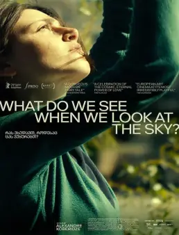 فيلم فيلم What Do We See When We Look at the Sky? 2021 مترجم 2021