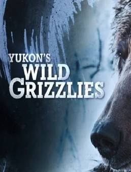 فيلم فيلم Yukon's Wild Grizzlies 2021 مترجم 2021